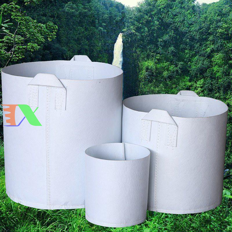 Túi vải địa không dệt